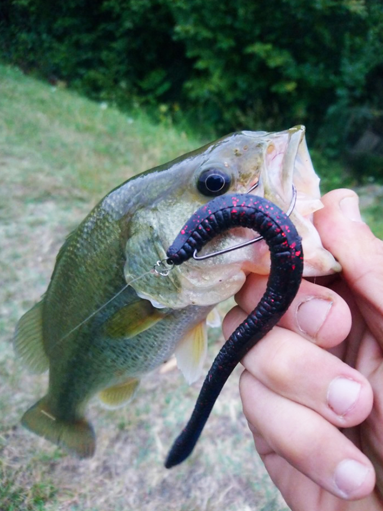 Esfishing Silicone Soft Bait T - Fishing Lure Soft Plastic recension och pris